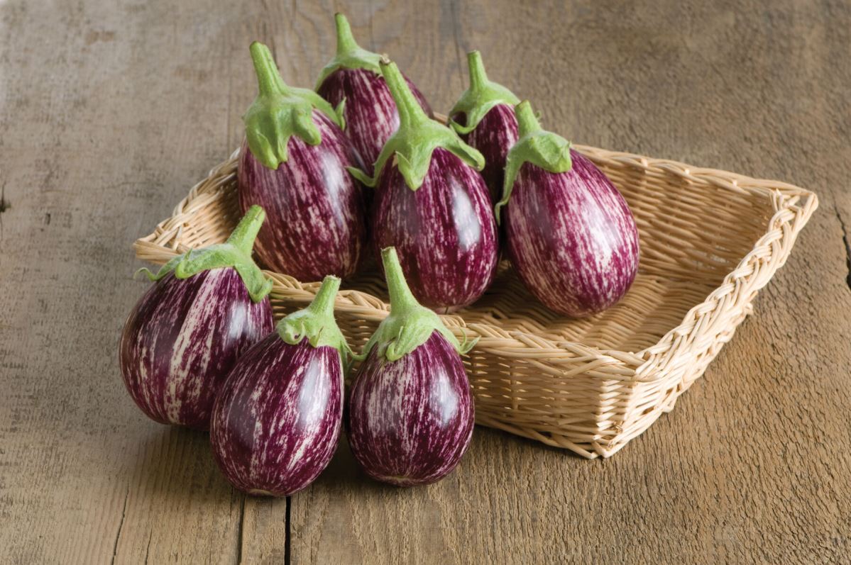 Calliope – Eggplant Seed
